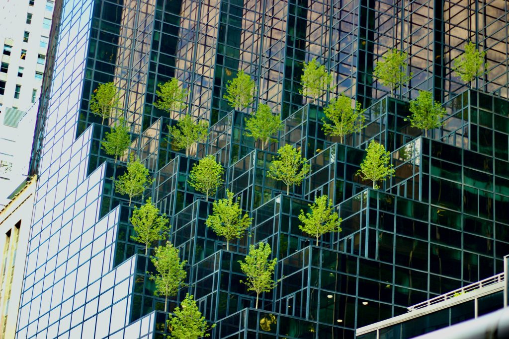 sustainable business
