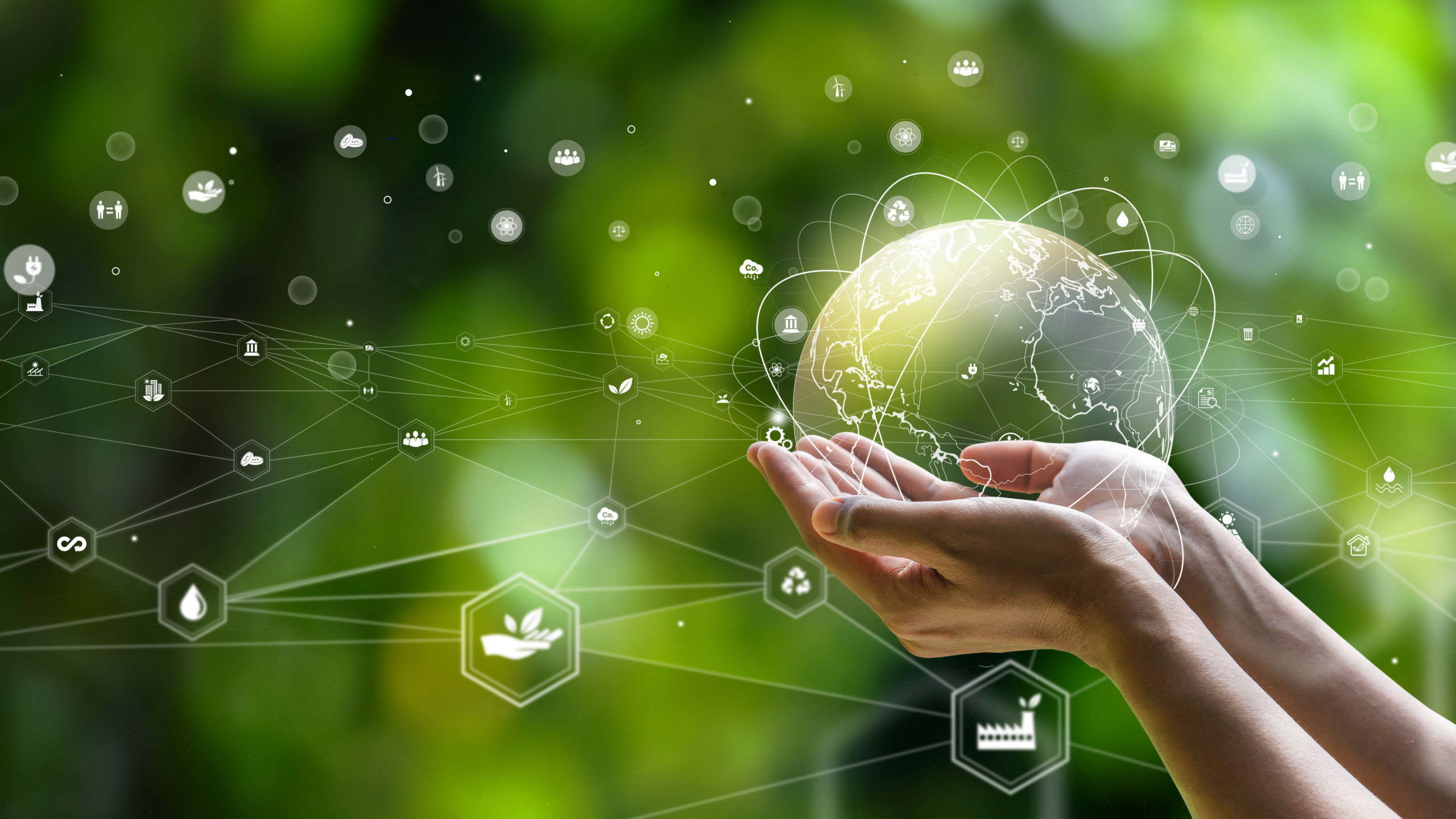 Contract Review and ISO 14001: Upholding Environmental Commitments